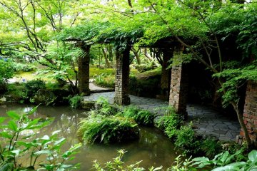<p>A wisteria covered pergola stands beside the pond</p>