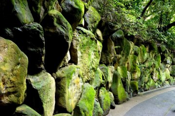 <p>Wall of moss covered boulders on the road up to the villa</p>