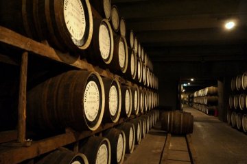<p>Barrels of whiskey stored for aging</p>