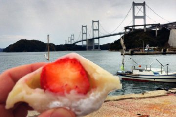 Ichigo daifuku and a suspension bridge