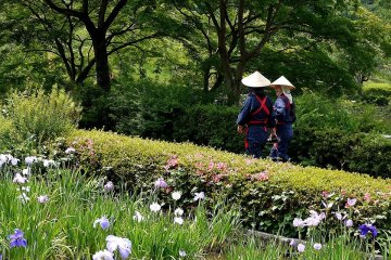 Les "musume iris" en chemin pour travailler