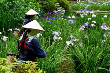 Je suppose qu'ils enlèvent les fleurs fanées
