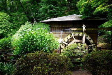 Une petite maison de moulin se dresse près des étangs d'iris