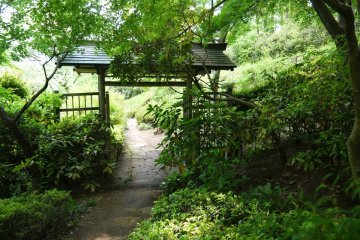 <p>Rustic gate surrounded by greenery</p>