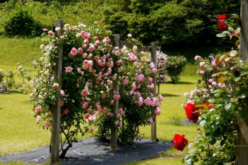 <p>Black vinyl sheet helps keep maintenance down in this very large garden</p>