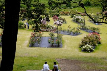 <p>Two ladies admire the rose garden from a wooden bench</p>