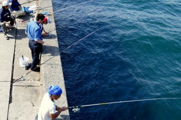<p>Fishing off the wharf</p>