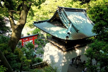 <p>Small gate overlooking a red torii</p>