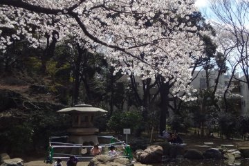 You will see some people eating, drinking beer, sake, or wine.