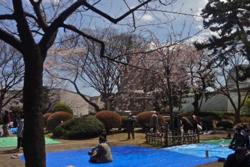 Some people spread plastic blue sheets on the ground to let everyone know that that is their territory