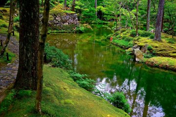 <p>Moss garden and stream at Koke-dera</p>