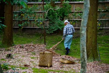 <p>He sweeps and cleans the leaves from the moss, day after day</p>