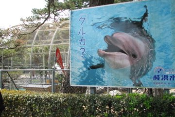 aquarium sign
