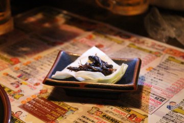 <p>Do you want to try grasshoppers? They actually taste very sweet.&nbsp;</p>