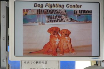 영어로 적힌 화면 
