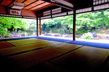 <p>How lucky I was to have this room and garden all to myself</p>