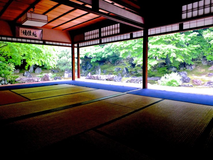 <p>How lucky I was to have this room and garden all to myself</p>
