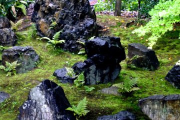 <p>It had just rained, so everything looked fresh and felt fresh</p>