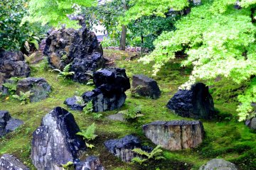 <p>A lovely contrast between the slick, black rocks and the fresh greens of spring</p>