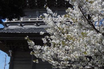 <p>Komyo-ji is alive with local people and it keeps its door open to anyone who needs a breath of fresh air.</p>