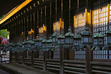 <p>Lanterns hanging down</p>