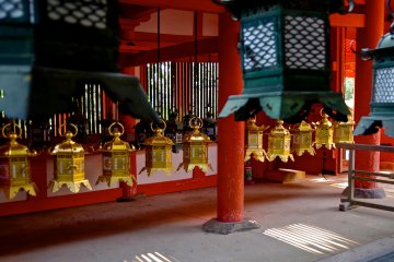 <p>All the lanterns are dedicated</p>