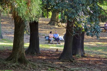 <p>People enjoying a slow time</p>