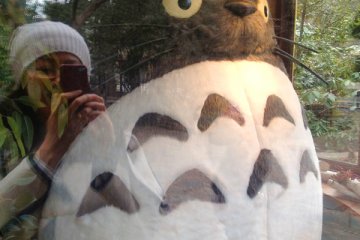 Totoro of another entrance