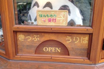 Totoro said "Real entrance is at that".