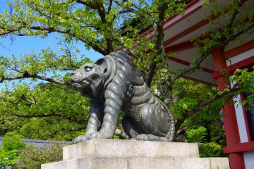 <p>Guardian tiger</p>