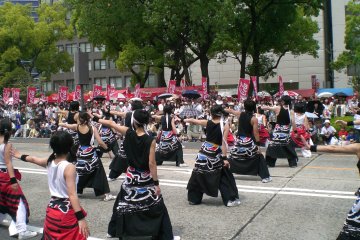 Hiroshima Flower Festival