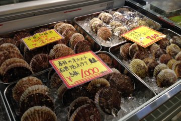 <p>Scallops from&nbsp;Ishinomaki</p>