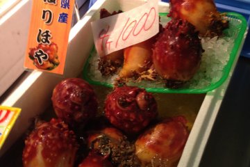<p>Hoya, delicacy from our sea</p>