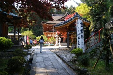 <p>Tree-surrounded temples</p>