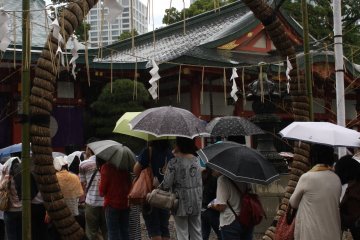 <p>Walking through the purification ring at Hie Shrine</p>