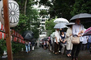 <p>A long line of visitors to make their offerings at Hie Shrine during this important festival &nbsp;</p>
