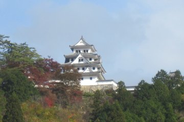 Castle from the town
