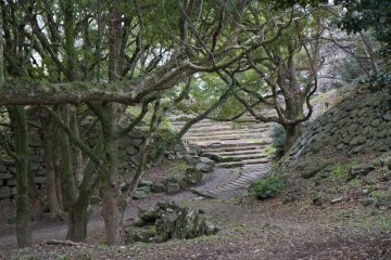 <p>Crumbling walls and old trees, both covered with greenery</p>
