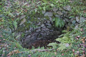 <p>One of the remaining wells, in the sannomaru section (third, or outermost works)</p>