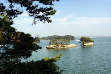 <p>Pulau Oshima menawarkan pemandangan teluk yang indah di mana Matsushima terkenal dengan berbagai pohon pinus yang menutupi pulau.</p>
