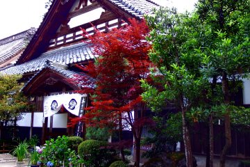 Beauty of Daian-zenji Temple, Fukui