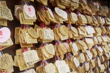 <p>More tablets full of hope!&nbsp;</p>