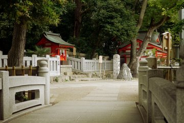 <p>The view from the bridge.&nbsp;</p>