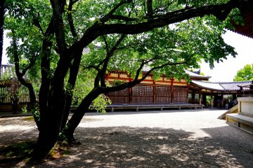 <p>To-in (Eastern) Precinct of Horyu-ji Temple</p>