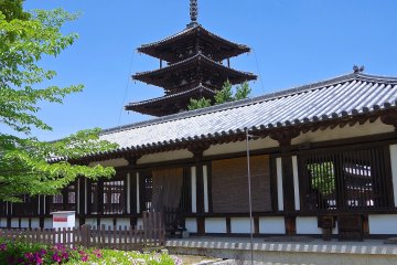 <p>View from the outside of Sai-in Complex</p>