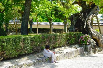 <p>Woman sitting on the stone in the same style as an old tree</p>