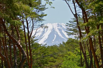 Lake Motosuko Campground in Photos