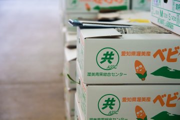 <p>Corn and other vegetables can be found in the trade market</p>