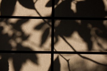 <p>The evening sun created beautiful shadows of the leaves outside onto the paper screen.</p>