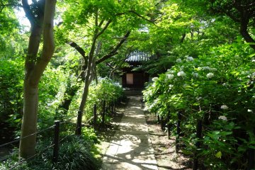 <p>The grounds are beautiful in their summer greenery</p>
